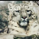 863129 - @aaron.brunner13014 - Instagram