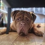 Aaron Brunt - @abrunt100 - Instagram