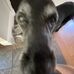 Aaron Bryans - Facebook