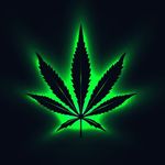 Aaron Buchanan - @aaron_b123_ - Instagram