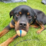 Aaron büchmann - @aaronbuechmann - Instagram