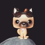Aaron Buchsbaum - @aaronbuchsbaum - Instagram