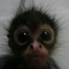 aaron - @abuckholtz - TikTok