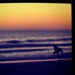 Aaron Buckingham - @adawgz92 - Instagram