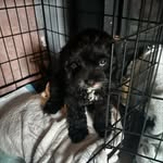 Aaron buckoke - @aaronbuckoke2004 - Instagram