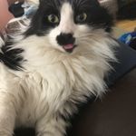 Aaron M. Buell - @wildwestminer - Instagram