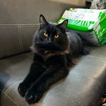 Aaron.buell97 - @photography.life110 - Instagram