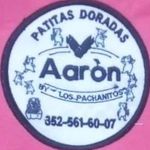 Aaron Buenrostro - @buenrostroaaron - Instagram