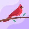 Aaron Buenrostro - @aaron.buenrostro3 - TikTok
