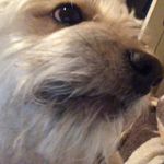 Aaron Buenrostro - @a.aron_buenrostro - Instagram