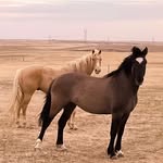 Aaron Jamie Buettner - @honeythezebra - Instagram