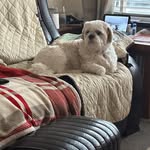 Aaron Buffey - @aaronbuffey - Instagram