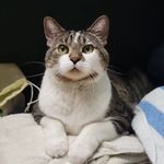 Aaron Buford Turner - @aaronbufordturner - Instagram