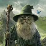 @aaron_buggy_the_3rd - Instagram