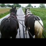 Aaron & Jessica's Buggy Rides - @aaron.jessicasbuggyrides - Instagram