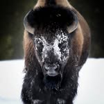 Aaron Buhler - @aaronbuhler - Instagram