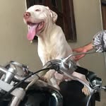 Aaron bull - @aaron_bull2 - Instagram