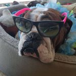Aaron Bull - @aaronebull - Instagram