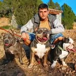 AARONBullysGBL - @aaronbullysgbl - Instagram