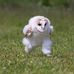 Aron Bamberger - Facebook