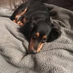Aaron Bumgarner - @bumaaron - Instagram
