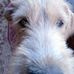 Aaron Buenfil - Facebook