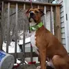 aaronbunker2 - @aaronbunker2 - TikTok