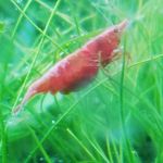 Aaron Burch - @aquatixunion - Instagram