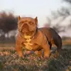 AaronBurk96 - @aaronburk96 - TikTok