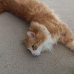 Aaron Burroughs - @burroughs.aaron - Instagram