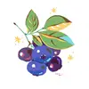 aaronblueburry - @aaronblueburry - TikTok