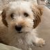 Aaron Burianski - Facebook