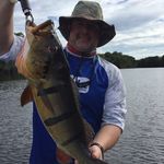 Aaron Bushko - @stlnhme - Instagram