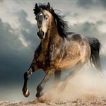 Aaron Bustillos - @aaron.bustillos.16547 - Instagram