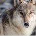 Aaron Butkus - Facebook