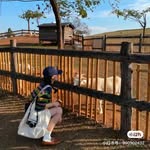 Aaron Butik - @yaxin18562604506 - Instagram