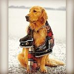 aaron button - @the_goalie_guy - Instagram