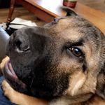 Aaron Byrd - @aaronbyrd9 - Instagram
