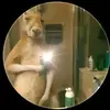 Aaron Caceres - @aaron.caceres05 - TikTok