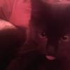 Aaron Cadena - @aaron.cadena - TikTok