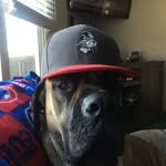 Aaron Cady - @cadyaaron - Instagram