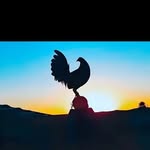 Aaron calvillo - @aaro_ncalvillo - Instagram