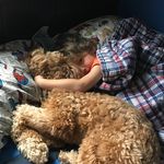 aaron calvo - @aaroncalvo98126 - Instagram