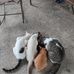 Aaron Camargo Garcia - Facebook