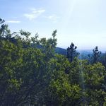 Aaron Camarillo - @aaronc.176 - Instagram