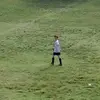 aaroncampis - @aaroncampis - TikTok