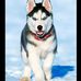 Aaron Camus - Facebook