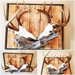 Aaron Cantwell - @wcso5203 - Instagram
