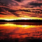 Aaron Cantwell - Facebook