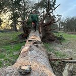 Aaron Cantwell - @aaron_cantwell97 - Instagram